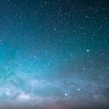 Nguyễn Trường Sơn