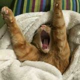 Đăng Khoa Lê Trần