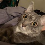 Nhật Nhật Quang Quang