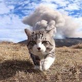 Phạm Gia Bảo Trấn