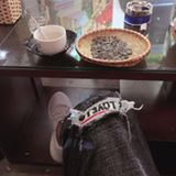 Trần Việt Cường