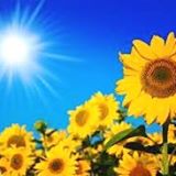 Nguyễn Thị Thu Hương