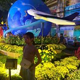 Trần Thị Kim Ngân