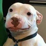 Nguyễn Ngọc Lâm