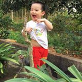 Nguyễn Xuân Hoàng