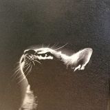 Nguyễn Thế Vĩnh