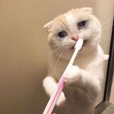 Nguyễn Thị Kim Anh