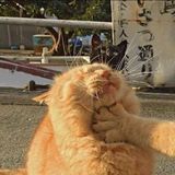 Nguyễn Quang Hiển