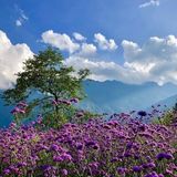 Nguyễn Ngọc Thắng