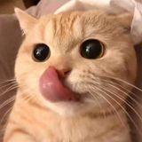 Nguyễn Tuấn Tâm