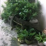 Đỗ Trọng Thưởng