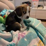 Nguyễn Bình Dương