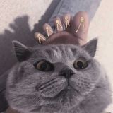 Trần Ngọc Khánh