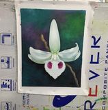 Nguyễn Hồng Đức