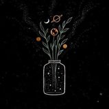 Thành Nhân Nguyễn